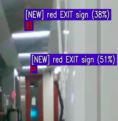 SAM 3 detections on initial inspection run — detail