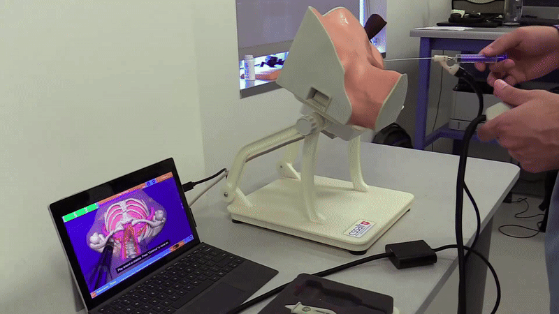 SMMARTS Programming Volunteering preview